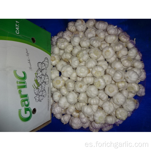 Nuevo Crop 2019 Fresh Pure White Garlic